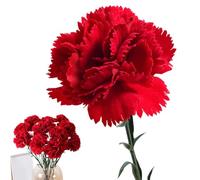 Carnation Artificial Flowers, Fake Floral Bouquet, Realistic Everlasting Stem Set, for Bedroom Living Room Vase Decor Garden Porch Patio Walkway Birthday Mothers Day Home Decoration Use 21.26 inches.