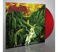 Carnation - Where Death Lies (Red Vinyl) [Vinilo]