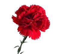 Carnations Artificial Flowers, Silk Floral Décor Bouquet, 21.26in Display