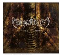Carnaval Lust - Dawn of the Hatred