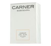 CARNER BARCELONA Ambar De Sur 100ML Spray Eau de Parfum