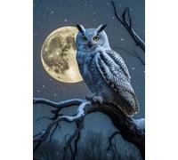 Carnet Chouette et Lune: A5, 240 Pages Lignées, Couverture Brillante