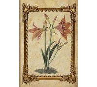 Carnet de notes: Carnet ligné pour Écriture, Journal ligné 160 pages, Carnet à couverture souple - Carnet pour travail, étude - Idéal comme notebook, journal, carnet personnel, carnet d’idées