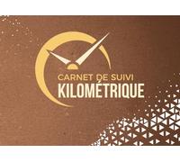 Carnet de suivi kilométrique: Journal de bord pour le suivi des déplacements pour véhicules professionnels et personnels