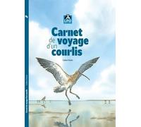 Carnet de voyage d'un Courlis