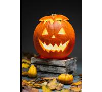 Carnet pour prises de notes au travail et journal intime, cadeaux d’Halloween.: Carnet de notes Halloween