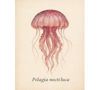Carnet quadrillé A5 - Illustration scientifique de la méduse Pelagia noctiluca - Cahier de notes océanique au style vintage aquarelle