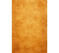Carnet Sable Luxueux: Cahier Minimaliste à Texture Dorée - Élégance Naturelle et Intemporelle (160 pages lignées)
