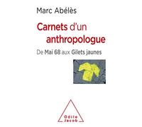 Carnets d'un anthropologue: De Mai 68 aux Gilets jaunes