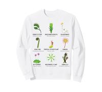 Carnívoras Plantas Carnívoras Trampa Venus, Planta de Jarra Sudadera
