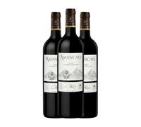 Caro Amancaya Mendoza 75 cl Vino tinto (Caja de 3 Botellas de 75 cl)
