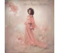 Carol Douglas - In Full Bloom