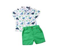 Carolilly Conjunto de ropa de bebé de 2 piezas, camisa, camisetas de verano con estampado de dinosaurio + pantalones cortos para niño de playa, Verde, 3-4 Años