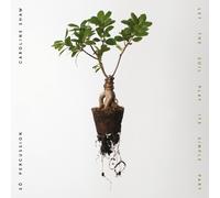 Caroline Shaw Caroline Shaw: Let the Soil Play Its Simple (CD) (Importación USA)