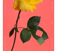 Caroline Shaw & So Percussion - Caroline Shaw: Rectangles & Circumstance (CD)