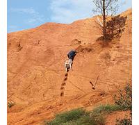 Caroline Skydiving onto the library roof / Everything (Vinyl) (Importación USA)