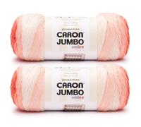 Caron CAR Jumbo Ombre Salmon - Ovillo de hilo de salmón, paquete de 2 unidades de 340 g, 100% acrílico, estambre #4 (mediano), 595 yardas, tejido/ganchillo