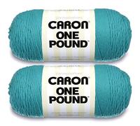 Caron One Pound - Ovillo de lana color aguamarina, paquete de 2 de 16 onzas, acrílico, 4 medianos (peinado), 812 yardas, tejer, ganchillo y manualidades
