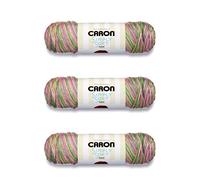 Caron Simply Soft Rose Garden Paints - Ovillo de lana para jardín, paquete de 3 unidades de 141 gramos/5 onzas, acrílico, 4 medianos (peinado), 235 yardas, tejido/ganchillo