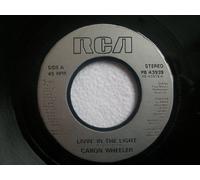 Caron Wheeler - Livin' in the light (Brixton Bass Mix) [Vinyl Single]