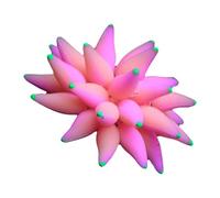carotoe Flores artificiales decorativas coloridas para peceras, adornos que brillan en la oscuridad, para decoración de terrarios, corales artificiales