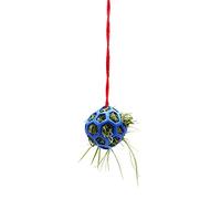 carotoe Pelota de regalo para caballos para comedero de heno, juguetes de cabra, juguete de alimentación colgante para ovejas, corderos, paddock, descanso estable, alivia el caballo