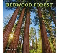 Carousel Calendars, Redwood Forest - Calendario de pared 2026, 12 x 12 pulgadas, calendario de 16 meses con encuadernación grapada