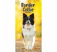 Carousel Worldwide, Border Collies - Agenda delgada 2026