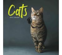 Carousel Worldwide, Calendario de pared 2026 Wire-o Cats