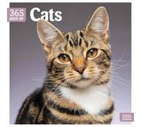 Carousel Worldwide, Calendario de pared cuadrado de 365 días 2026 con diseño de gatos
