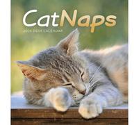Carousel Worldwide, Cat Naps - Calendario de escritorio 2026 con caballete