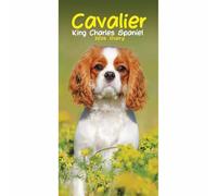 Carousel Worldwide, Cavalier King Charles Spaniels - Agenda delgada 2026