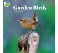 Carousel Worldwide, Garden Birds - Calendario de pared cuadrado 2026