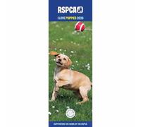 Carousel Worldwide, RSPCA I Love Puppies 2026 - Calendario de pared delgado