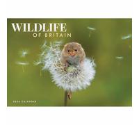Carousel Worldwide, Wildlife of Britain - Calendario de pared 2026, tamaño A4
