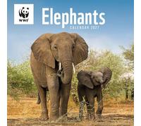 Carousel Worldwide WWF Elephants 2027 - Calendario de pared cuadrado, calendario de 12 meses, fotografía de animales salvajes