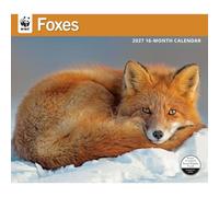Carousel Worldwide WWF Foxes - Calendario de pared grande 2027, calendario de 16 meses, fotografía de zorro encantador, calendario de pared mensual, 14 x 12 pulgadas, regalo