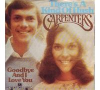 Carpenters - Carpenters - There's A Kind Of Hush - A&M Records - 16 765 AT
