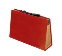 Carpeta clasificador Acordeón Fuelle Formato Cuarto