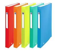 Carpeta clasificador fuelle A4 PP color surtido