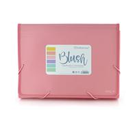 Carpeta Clasificadora con 12 Divisiones con Visores Panorama + 80 Adhesivos y Cierre de Gomas y Laterales Reforzados - Colores BLUSH PASTEL - Resistencia y Calidad by Office Box (Rosa Blush)