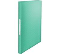 Carpeta de anillas Esselte Colour'ice Verde (4 Unidades)