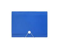 Carpeta de archivos Carpeta de documentos importante, organizador archivos acordeón, carpeta expandible, tamaño letra, organizadora papel(Blue)
