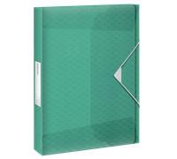 Carpeta De Proyectos Con Capacidad Extra Esselte Colour'Breeze Verde A4