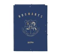 Carpeta Folio 3 Solapas Harry Potter Magical