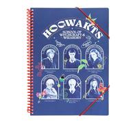 Grupo Erik Carpeta Fundas Plastico A4 Harry Potter - Carpeta Clasificadora de Fundas con Espiral y Plastico A4 Transparente (30 fundas) | Harry Potter Regalos, Carpetas Escolares para Niños y Niñas