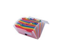 Carpeta liderpapel clasificador fuelle 45144 polipropileno a4 transparente con asa spectrafile 26 dpto