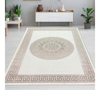 CARPETIA Alfombra Salón Dormitorio Enorme Oriental Brillante Adornos Grandes XXL Moderno Noble de Pelo Corto de diseño Crema Beige 240 x 340 cm