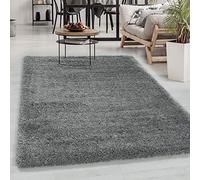 Carpetsale24 Alfombra Salon Peludo de Pelo Largo 80 x 250 cm Gris Claro - Alfombras de Habitacion Sala de Estar Modernas Suave y Esponjoso - Moderna Alfombra Cocina, Dormitorio Moqueta