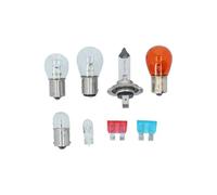 Carpoint 0725004 Lampenset H7 55 W Orange